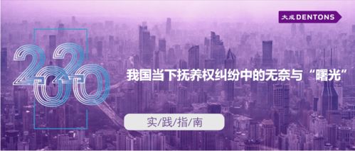 我國(guó)當(dāng)下?lián)狃B(yǎng)權(quán)糾紛中的無(wú)奈與曙光